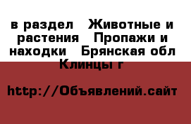  в раздел : Животные и растения » Пропажи и находки . Брянская обл.,Клинцы г.